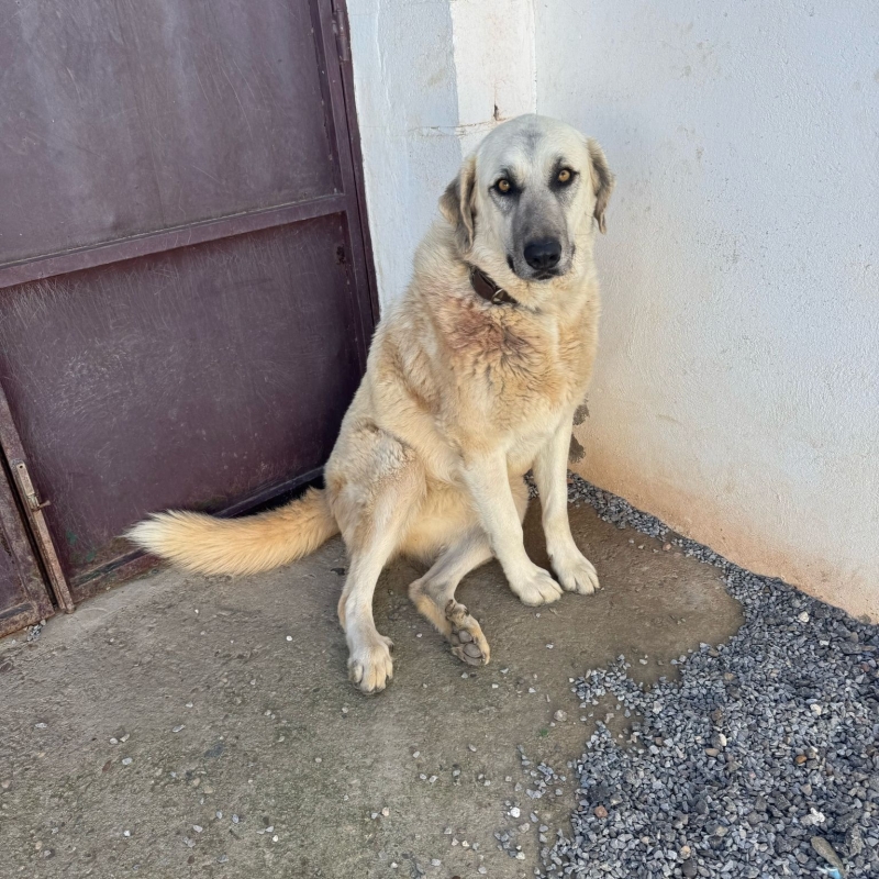 Photo de Tana