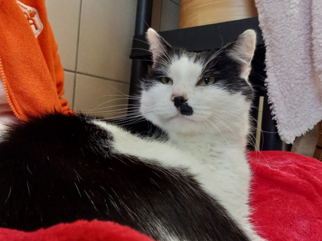 Photo #1 de Deadpool