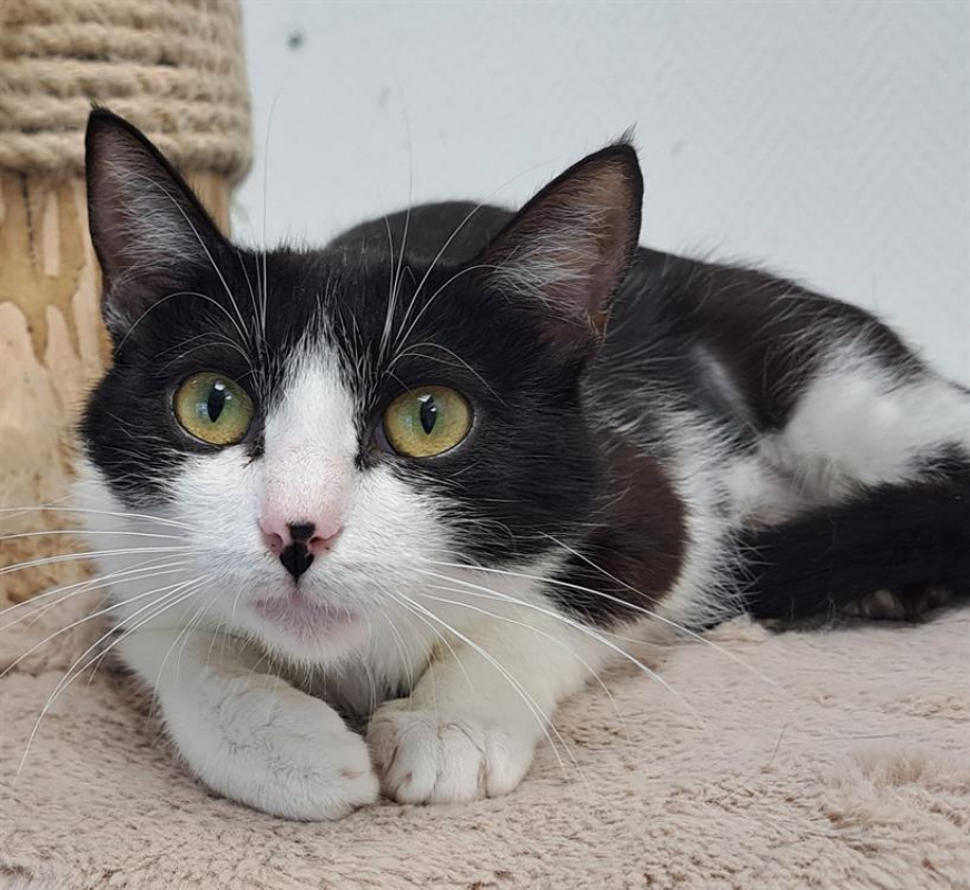 Photo #1 de Raiponce