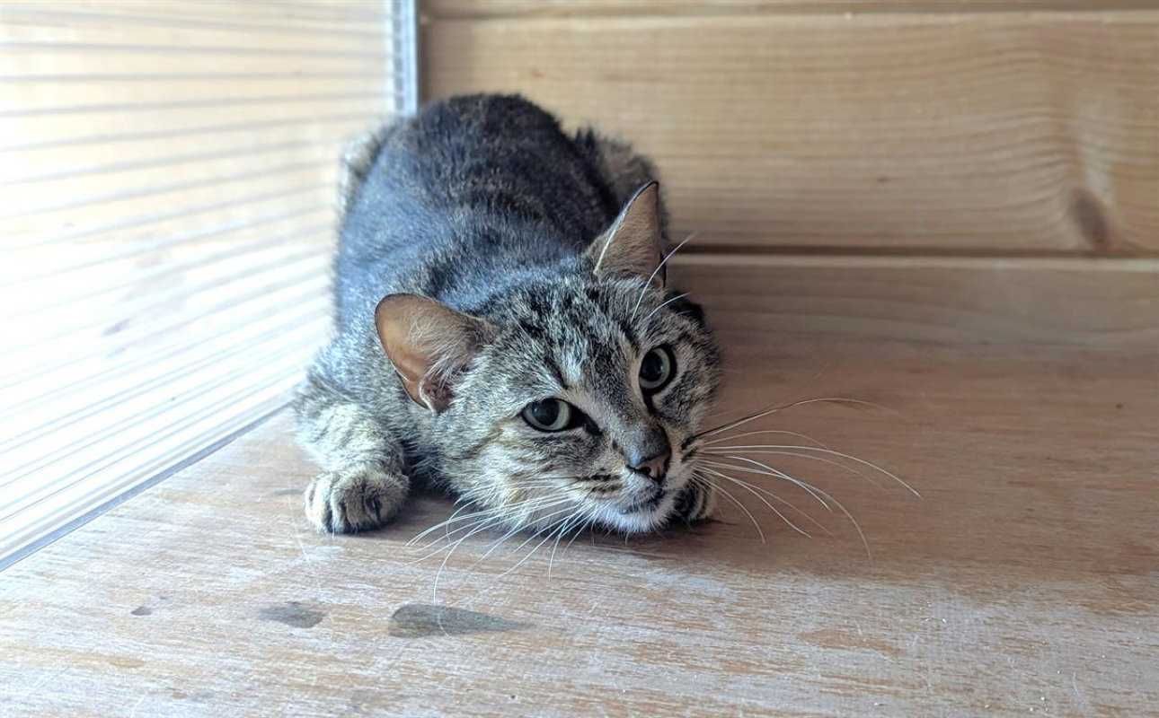 Photo #2 de Madeleine