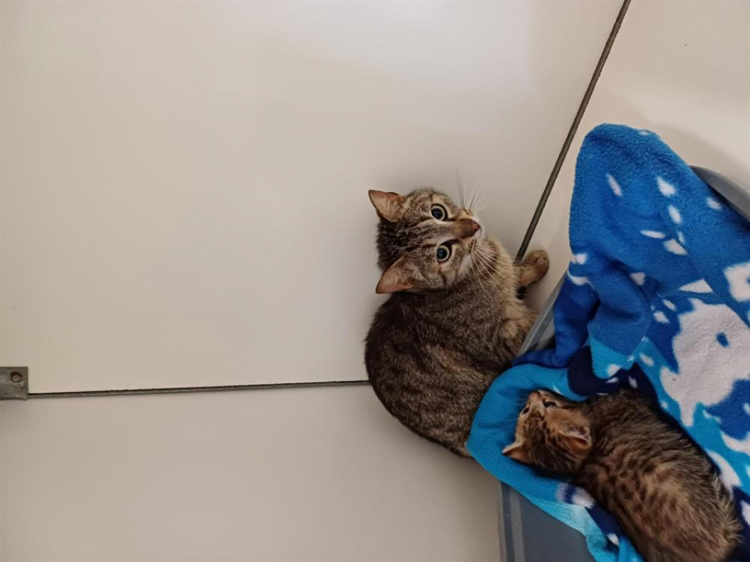 Photo #3 de Madeleine