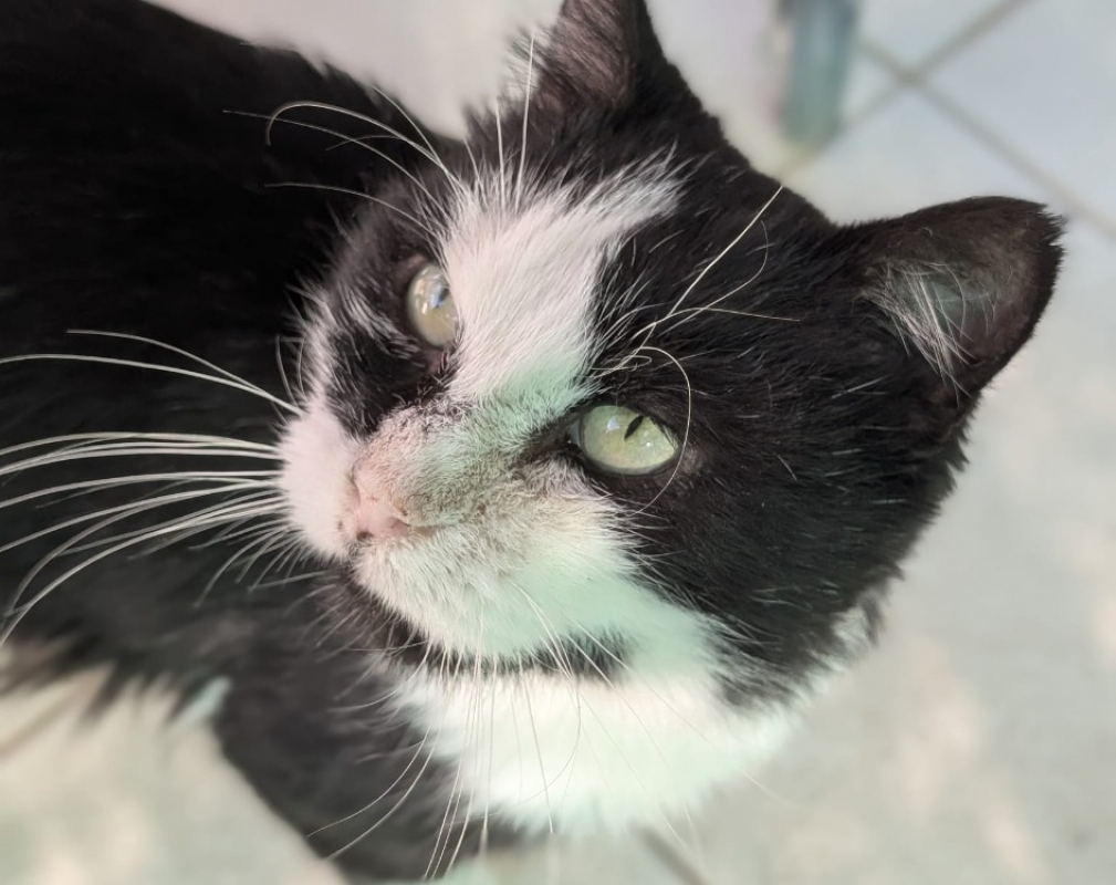 Photo #2 de Fantasio