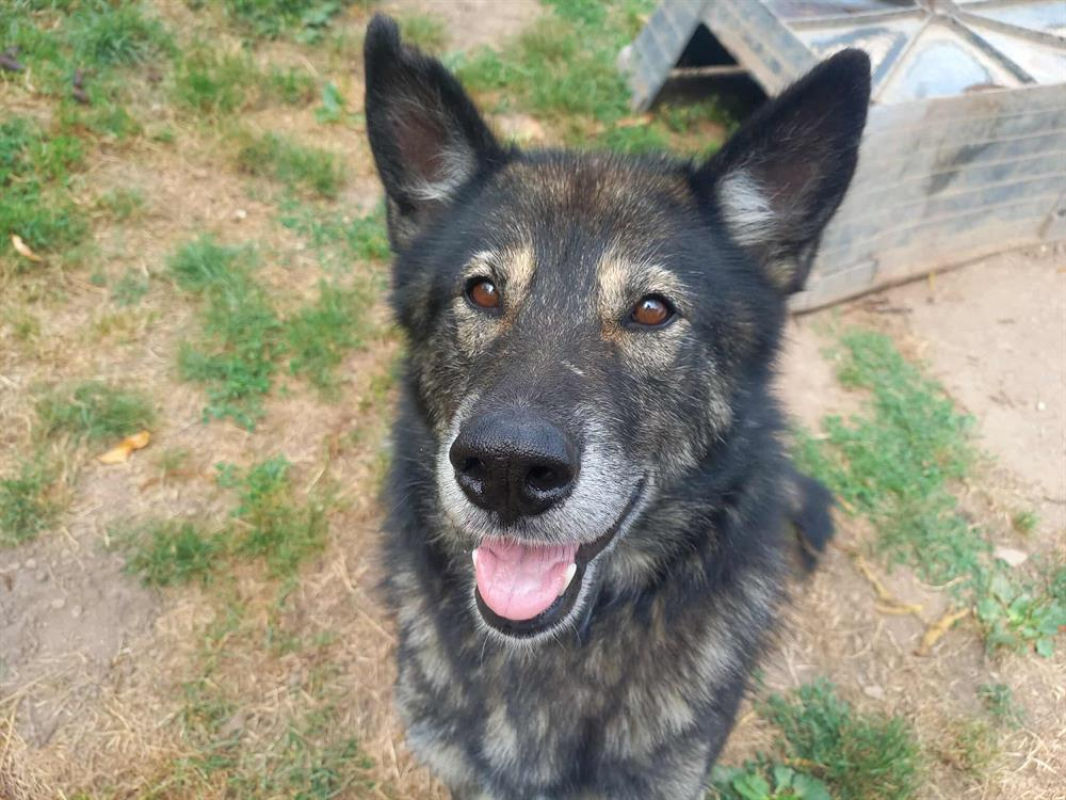 Photo #1 de FantÔmette