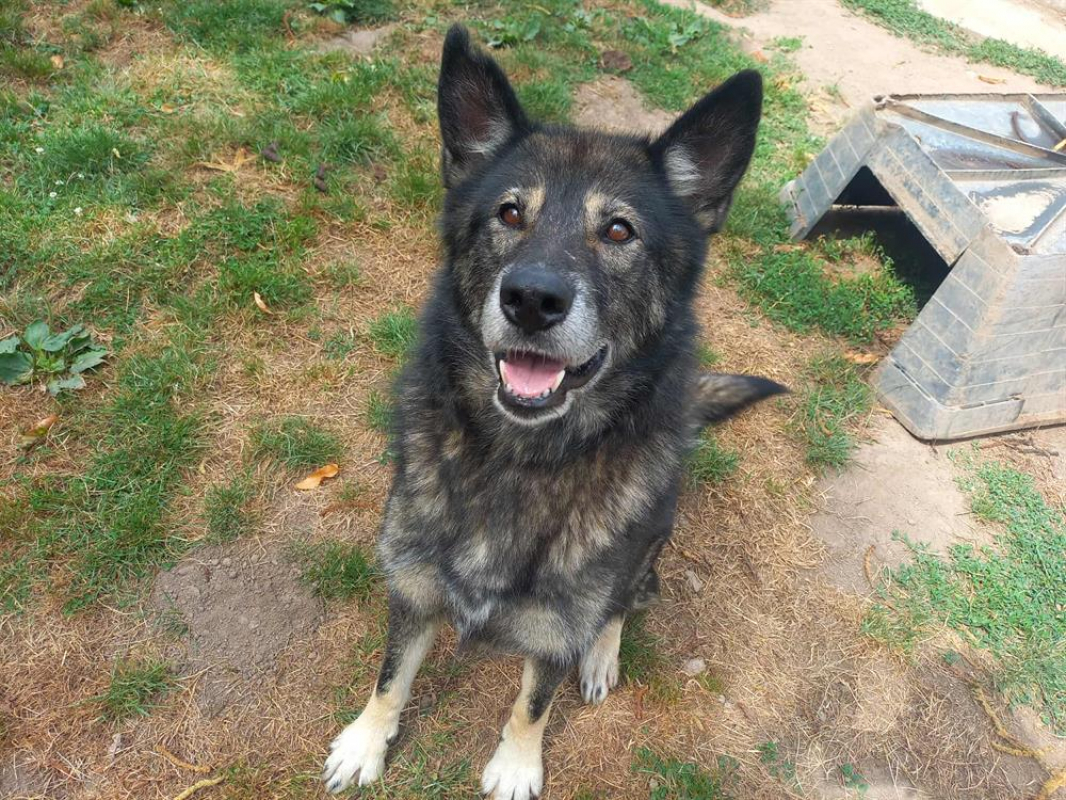 Photo #2 de FantÔmette