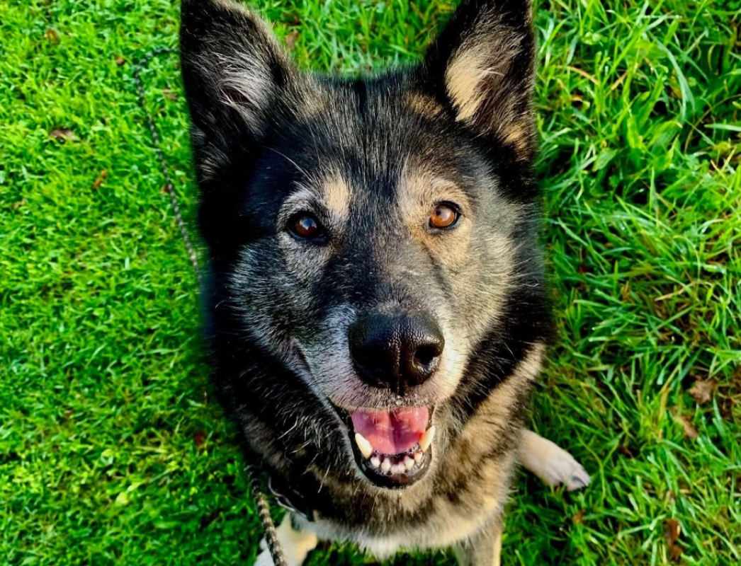 Photo #1 de FantÔmette