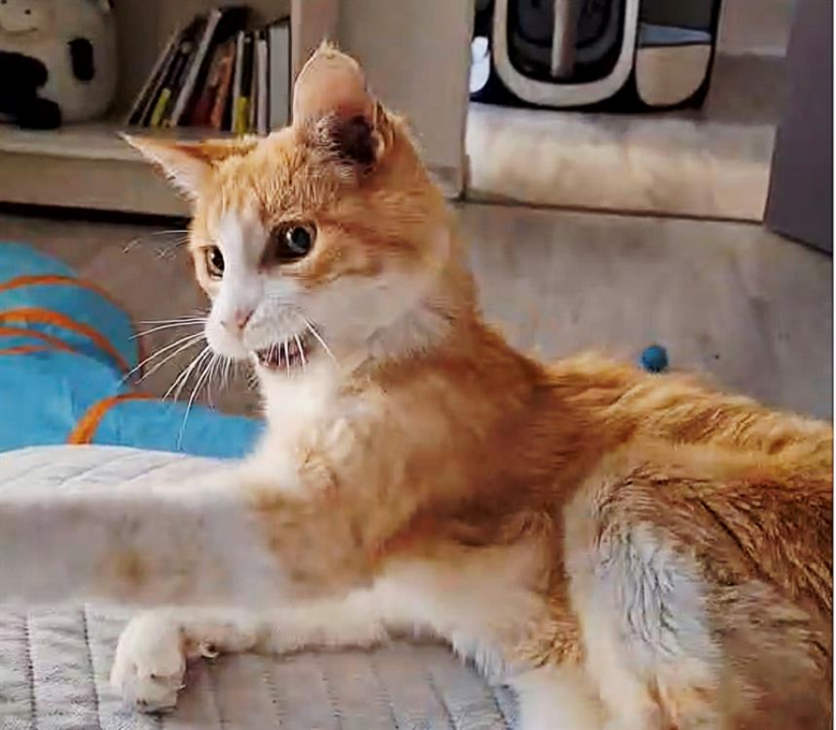 Photo de Beachvolley