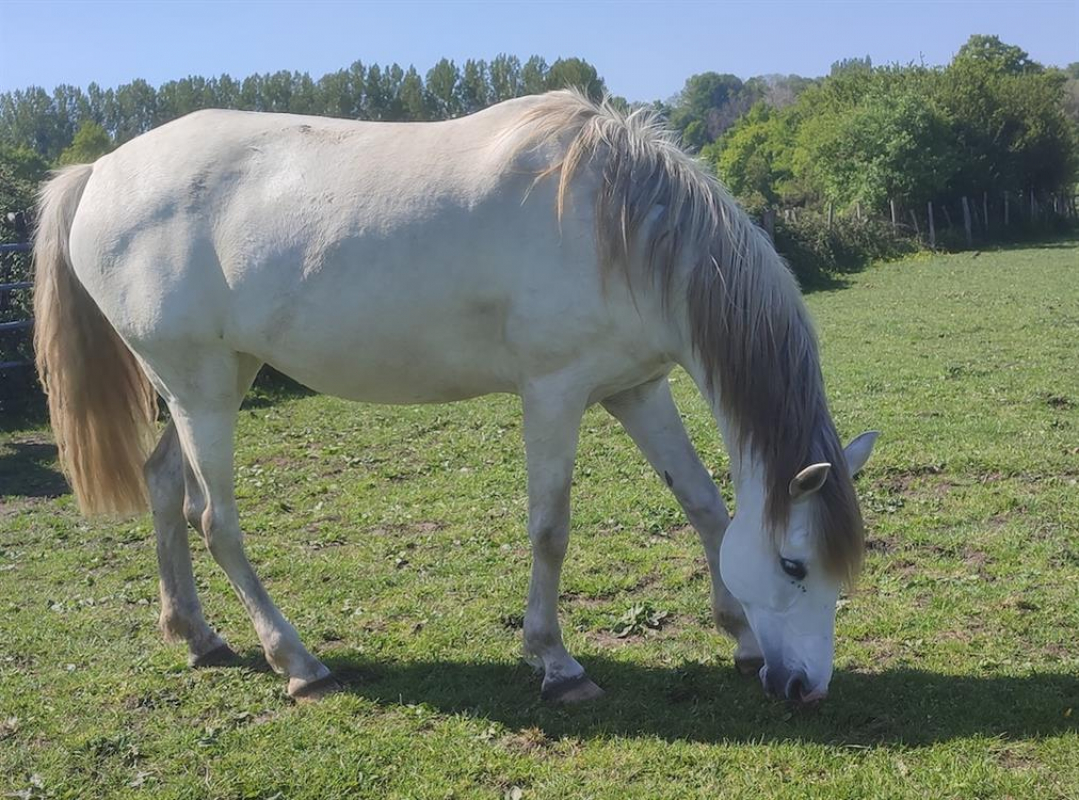 Photo de Calimity jane