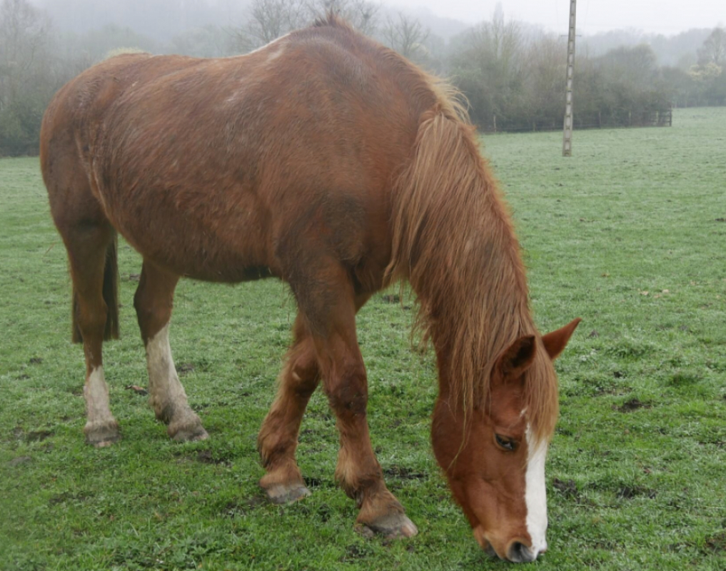 Photo de Zumba de belnoe