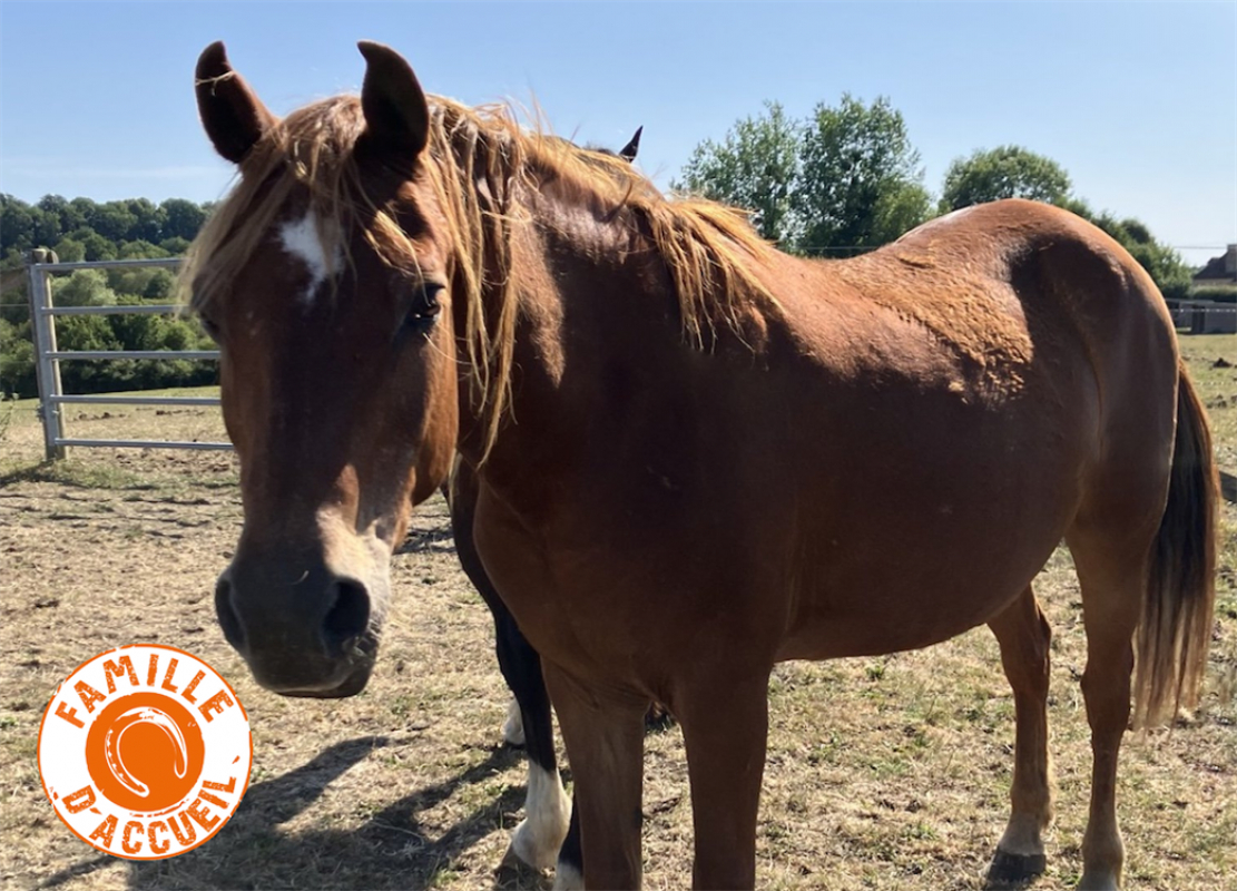 Photo de Jeanne de belnoe