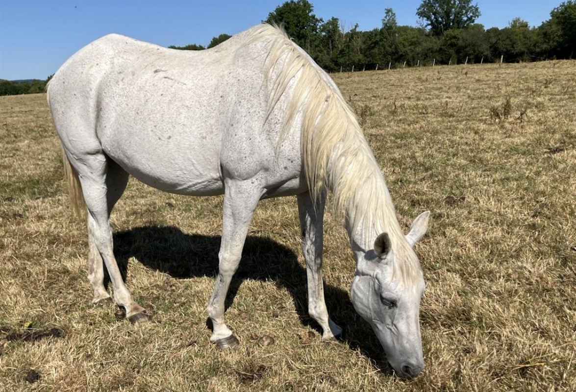 Photo de Etoile gouvillaise
