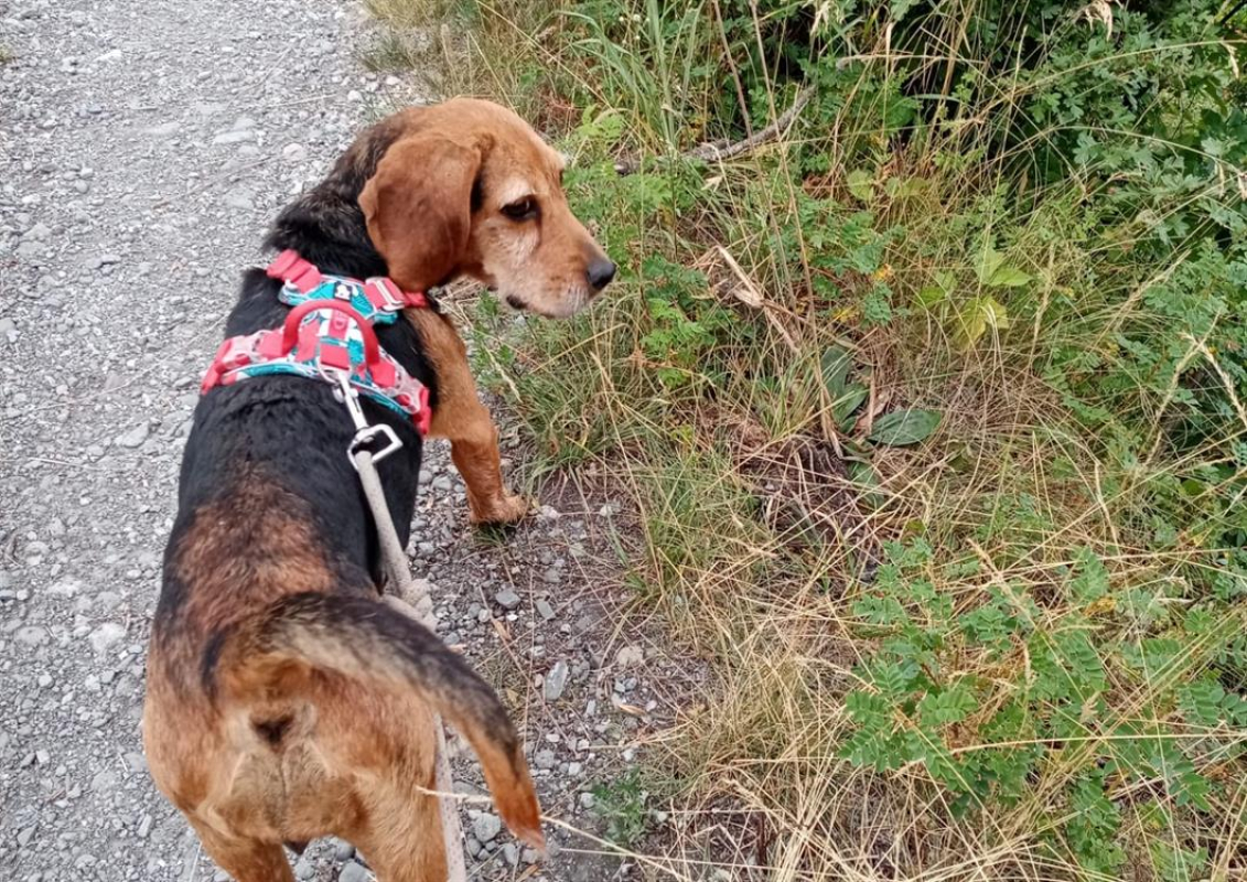 Photo #2 de Olga cnne