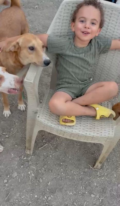 TEDDY - Chien à adopter - photo 8