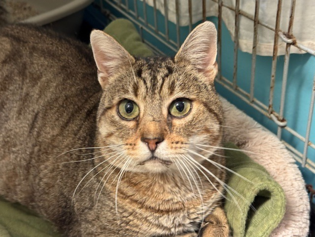 Photo #1 de Térérond