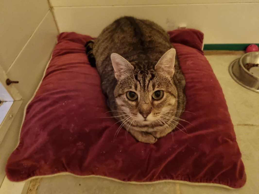 Photo #6 de Térérond