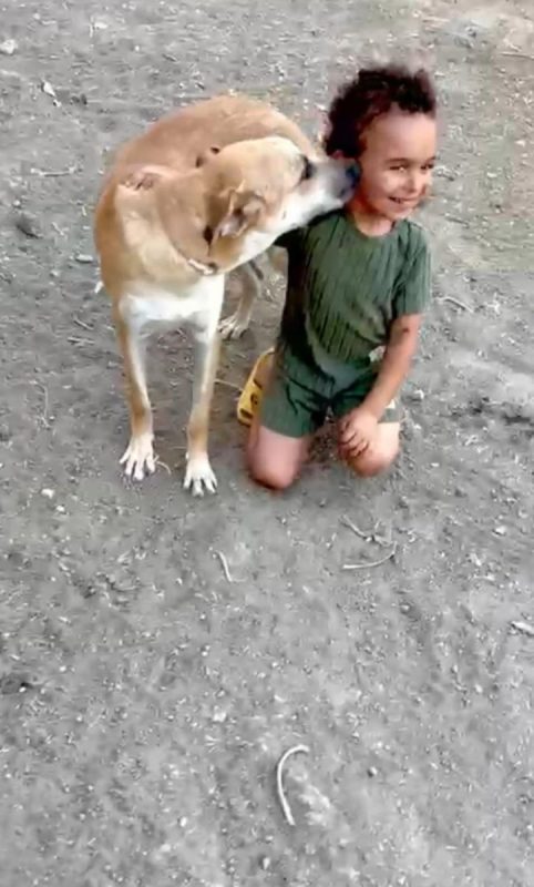 BILLY - Chien à adopter - photo 6