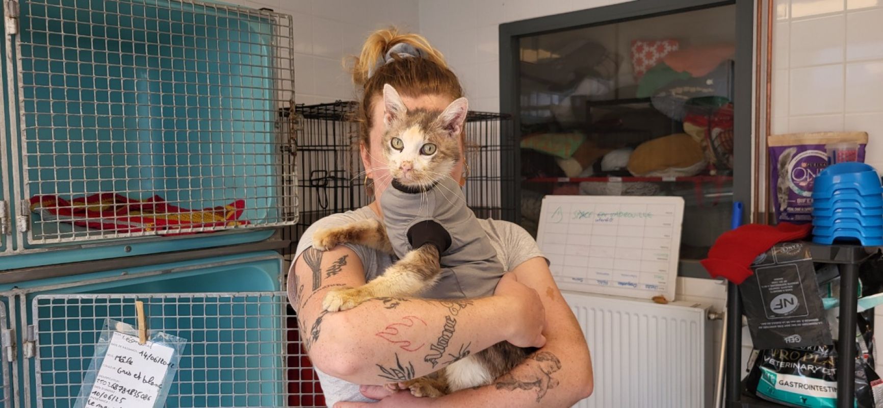 Photo #4 de Leonard famille relais