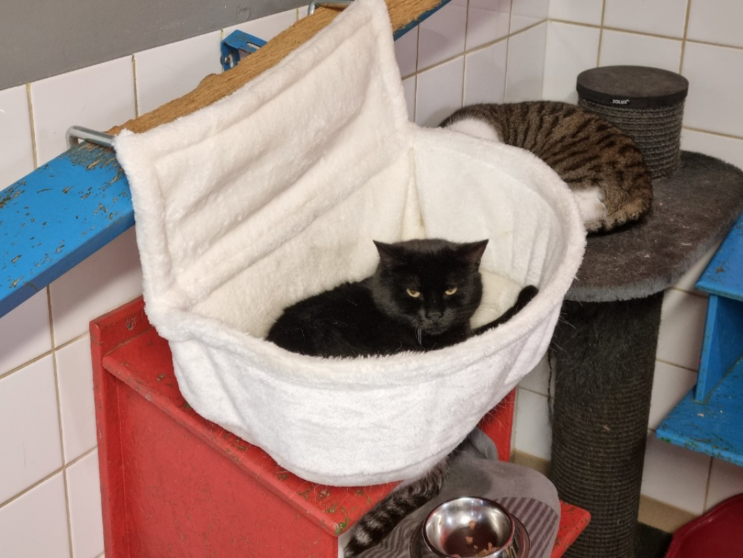 Photo #1 de Térébas