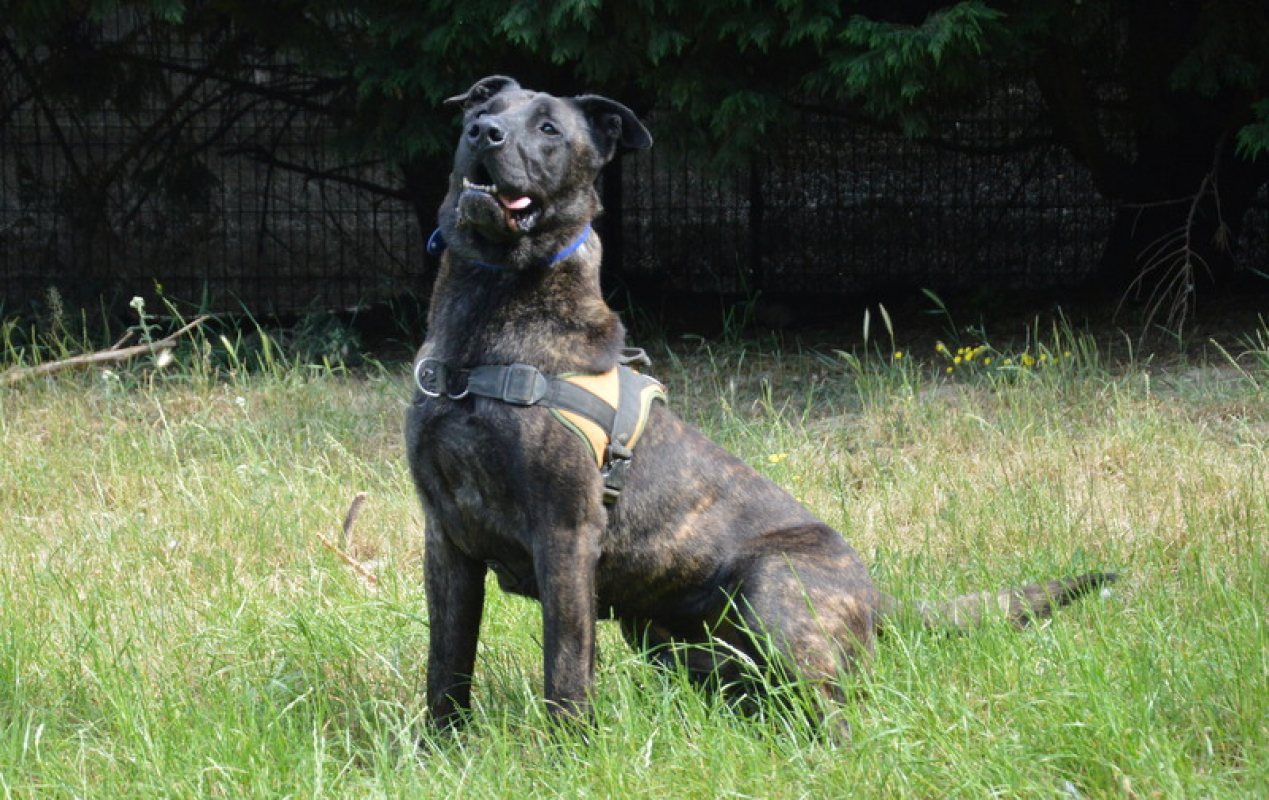 Photo #3 de Karabash