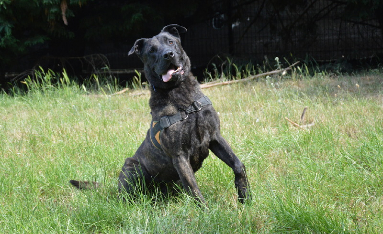 Photo #4 de Karabash