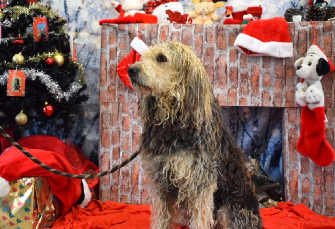 Photo #6 de Ralf