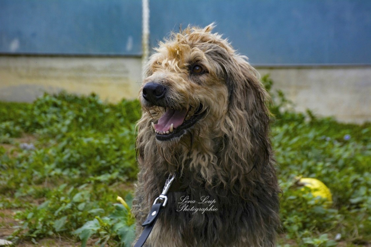 Photo #9 de Ralf