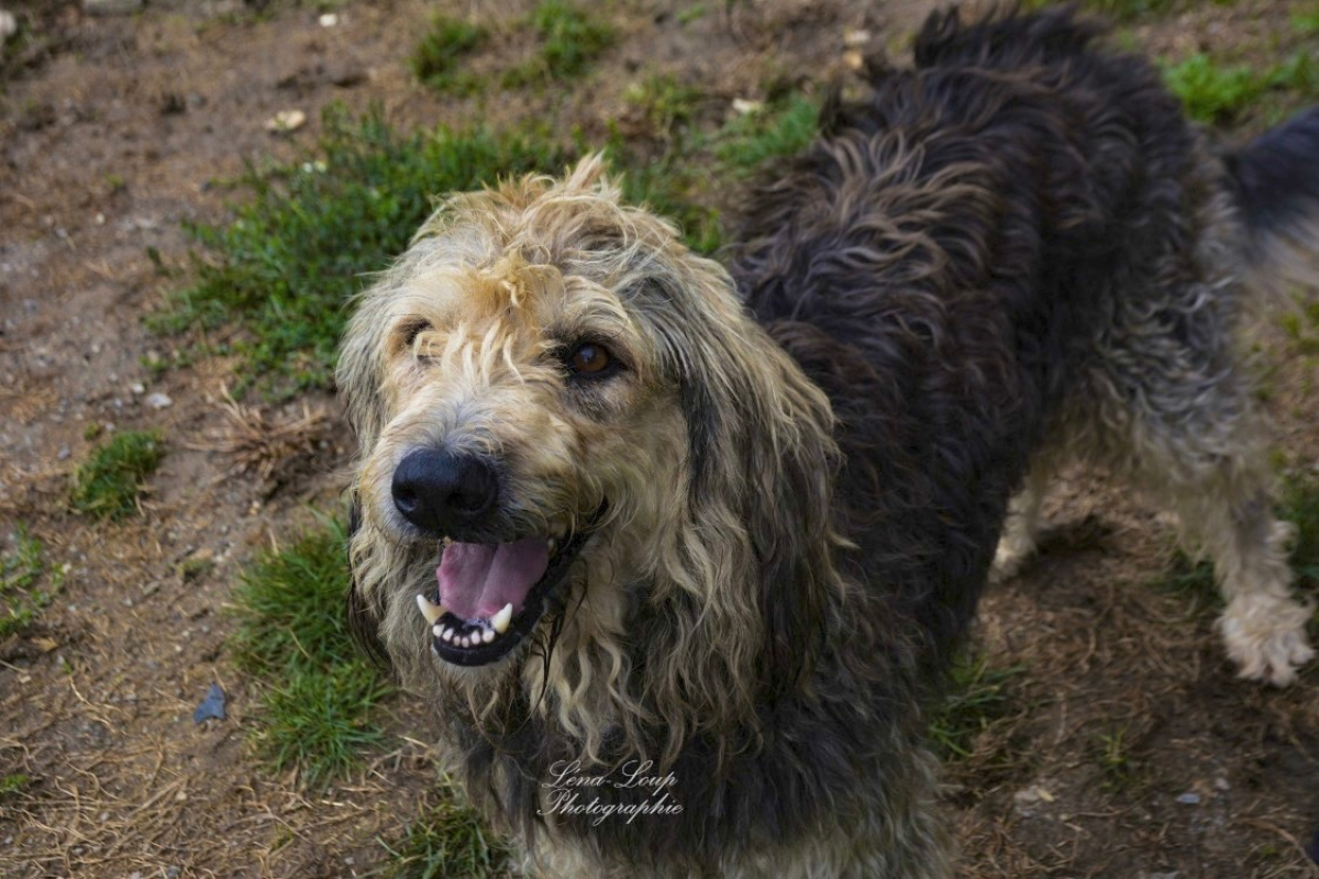 Photo #12 de Ralf