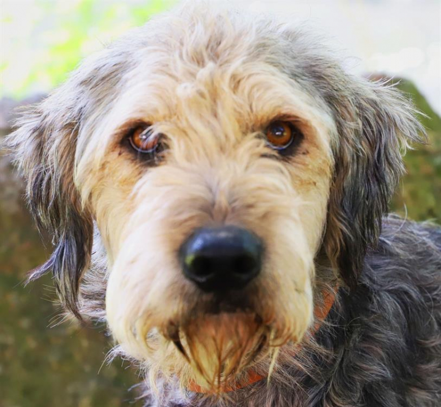 Photo #15 de Ralf