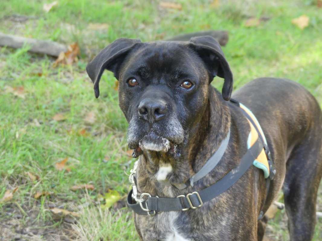 Photo #4 de Odeon réservé