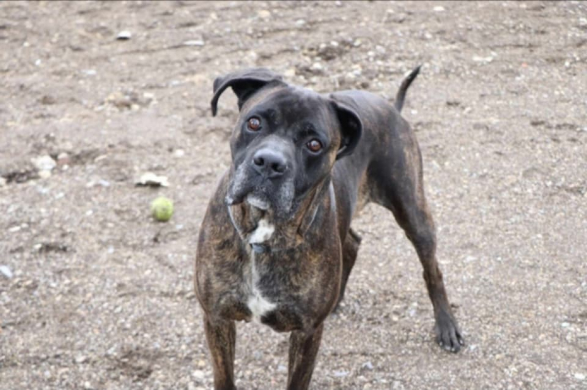 Photo #7 de Odeon réservé