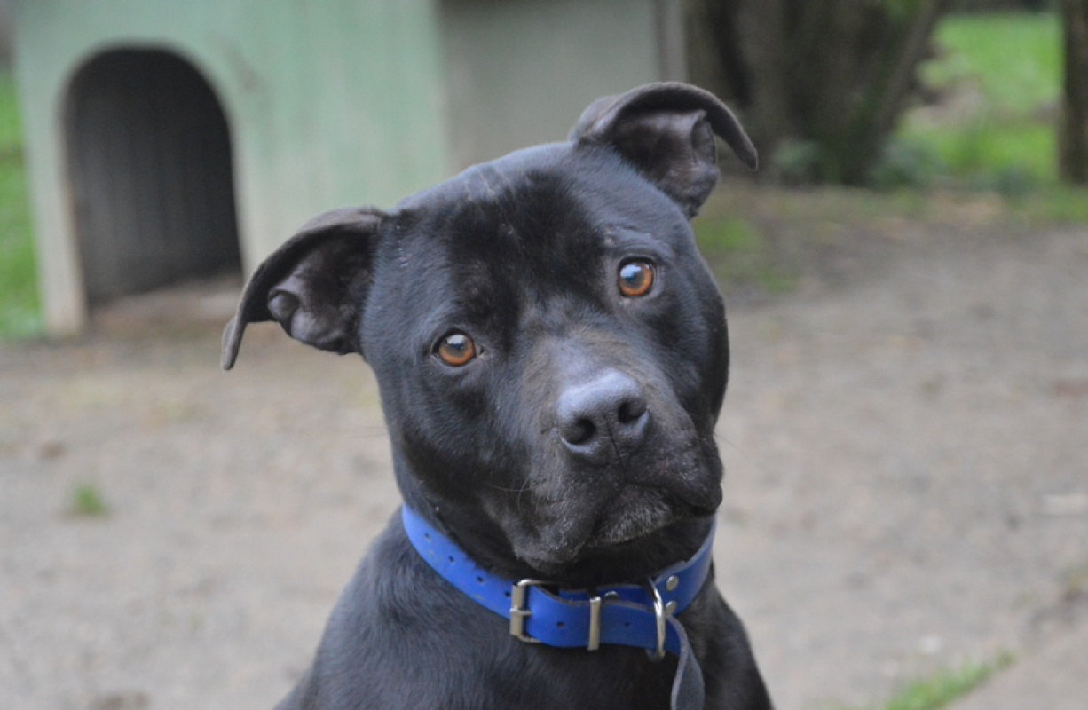 Photo #1 de James bond