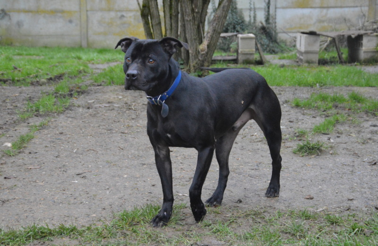 Photo #3 de James bond