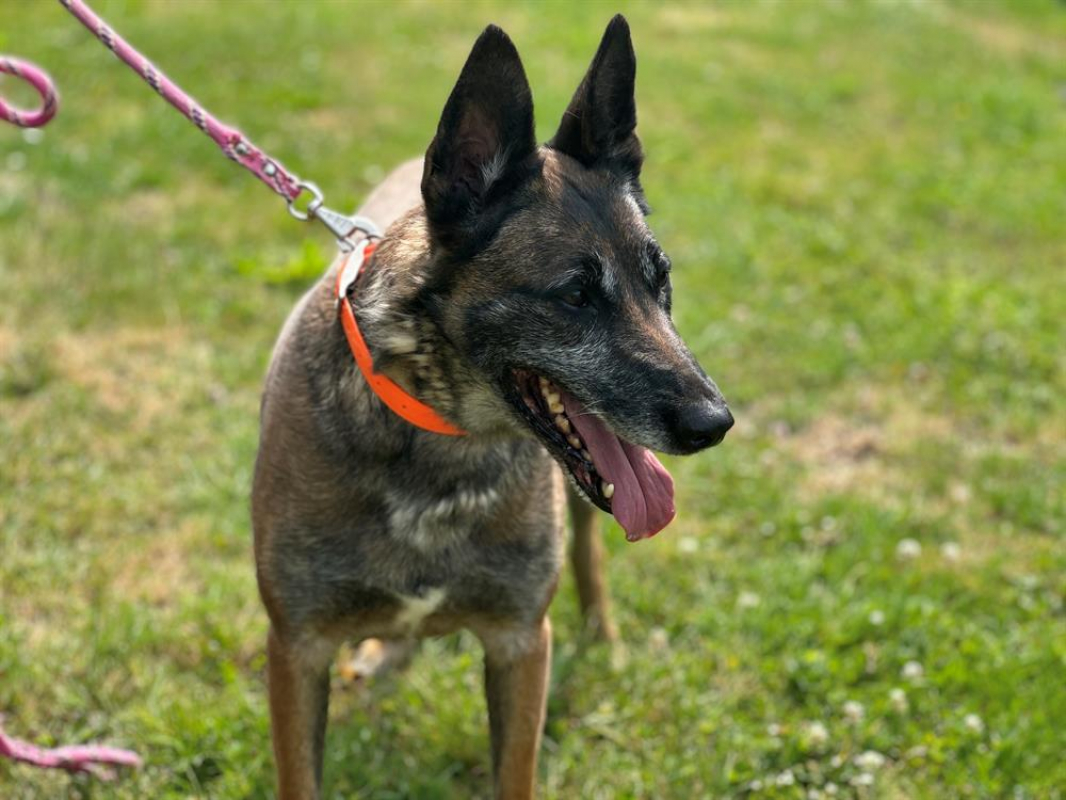 Photo de Lia en sos urgent