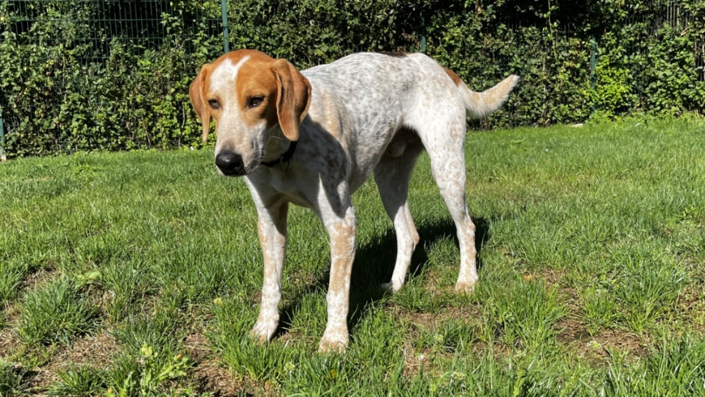 Photo #1 de Petitpieds