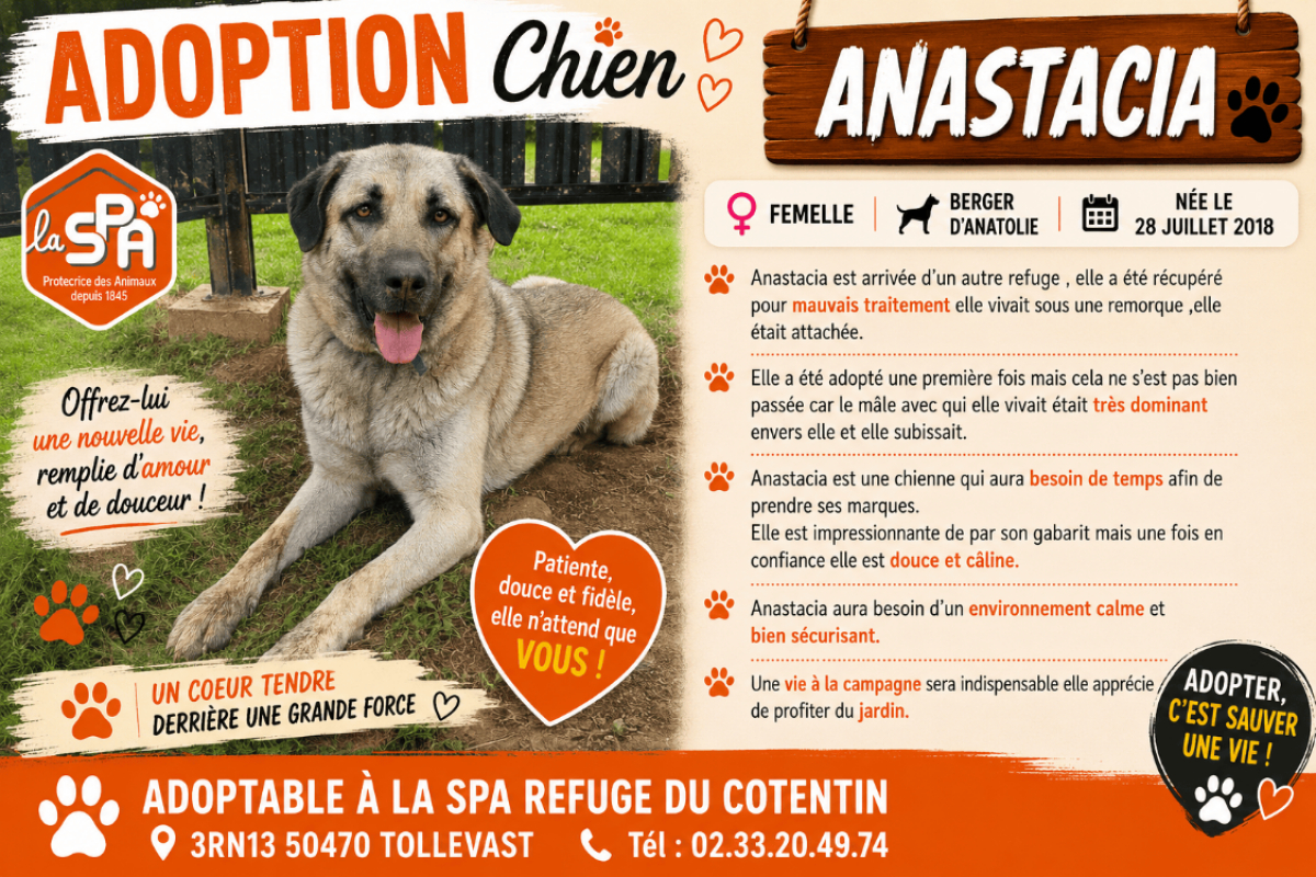 Photo de Anastacia