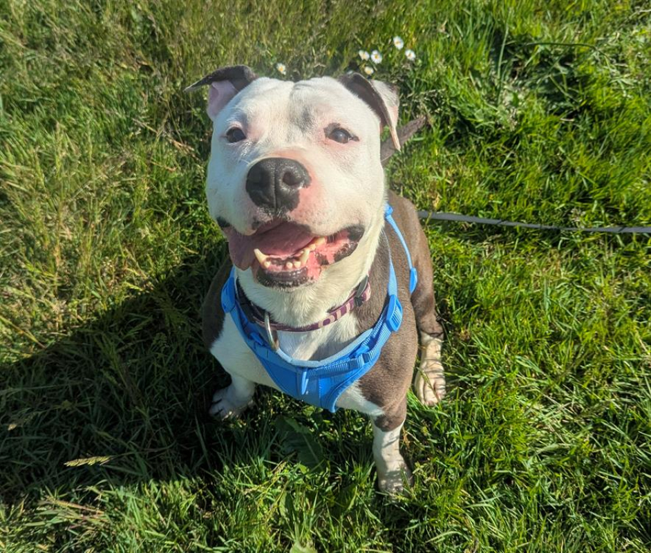 Photo #3 de Princesse