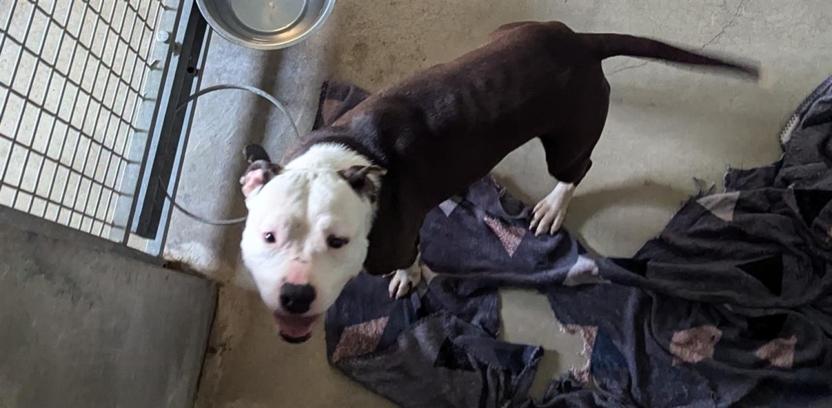 Photo #4 de Princesse