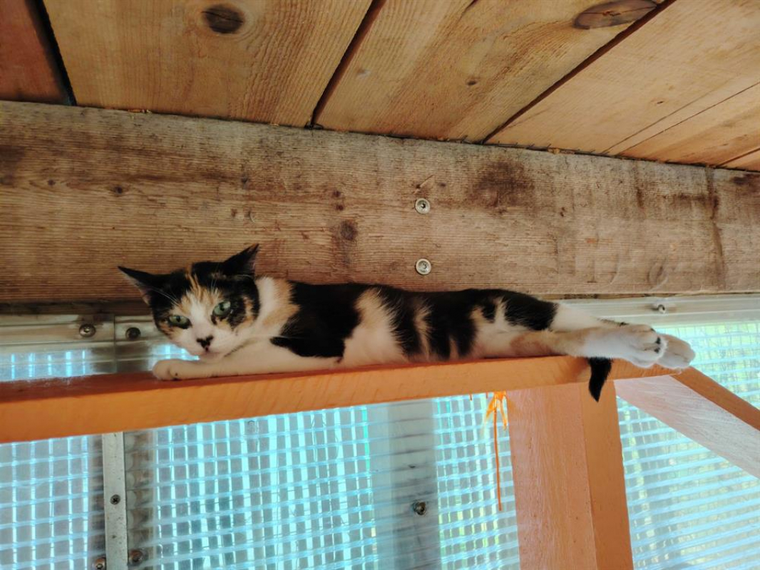 Photo #3 de Juliette