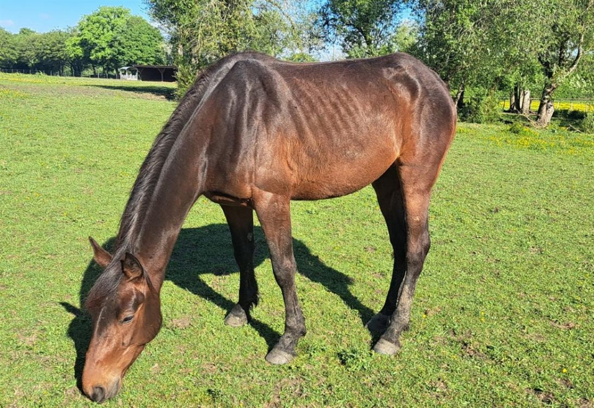 Photo de Loumana elte