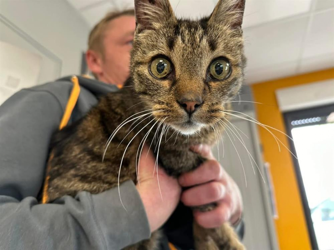 Photo #1 de Crunch en sos urgent