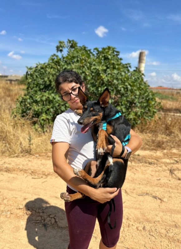 DOBBY - Chien à adopter