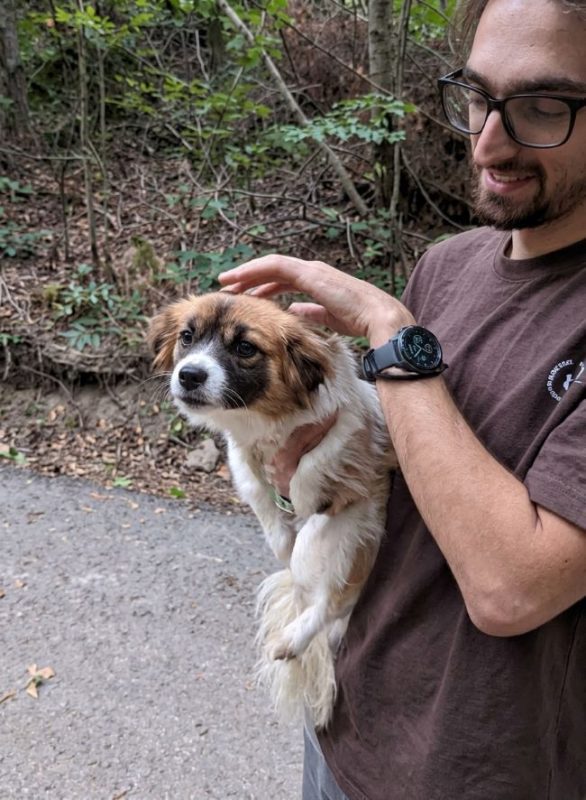 Sakura - Chien à adopter - photo 3