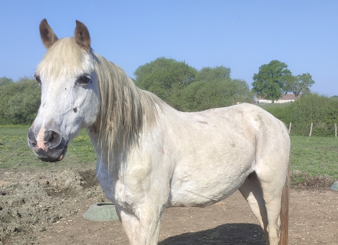 Photo de Princesse d'anger