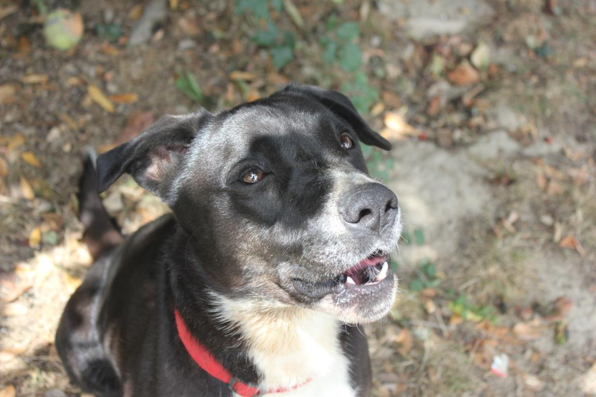 Photo #13 de Beretta