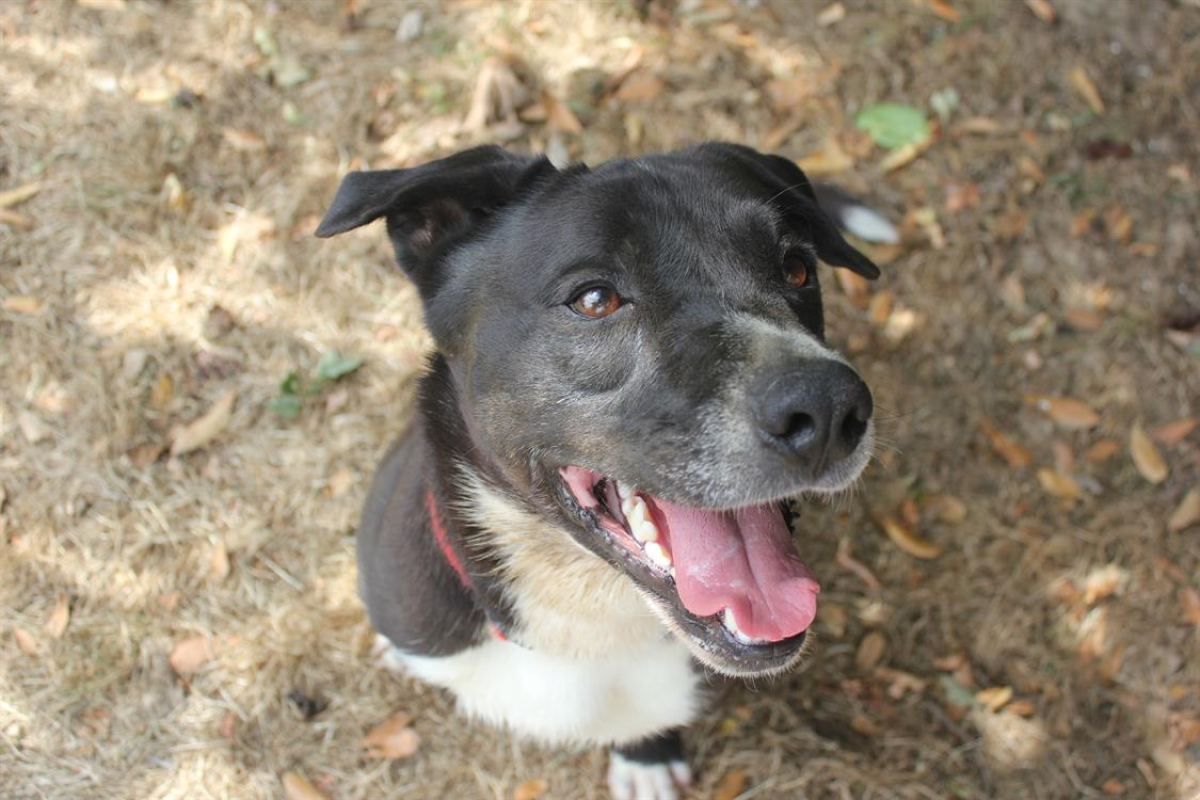 Photo #11 de Beretta