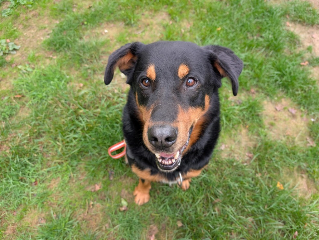 Photo #5 de Galoudec