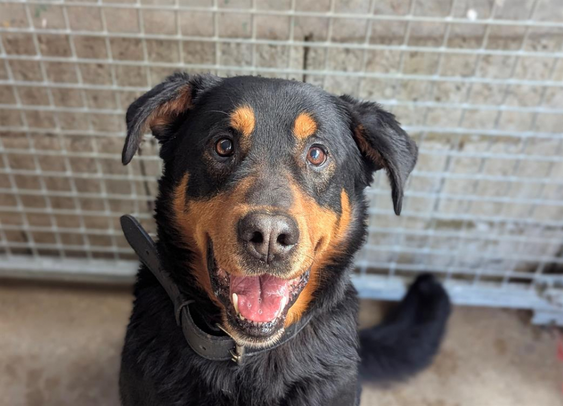 Photo #4 de Galoudec