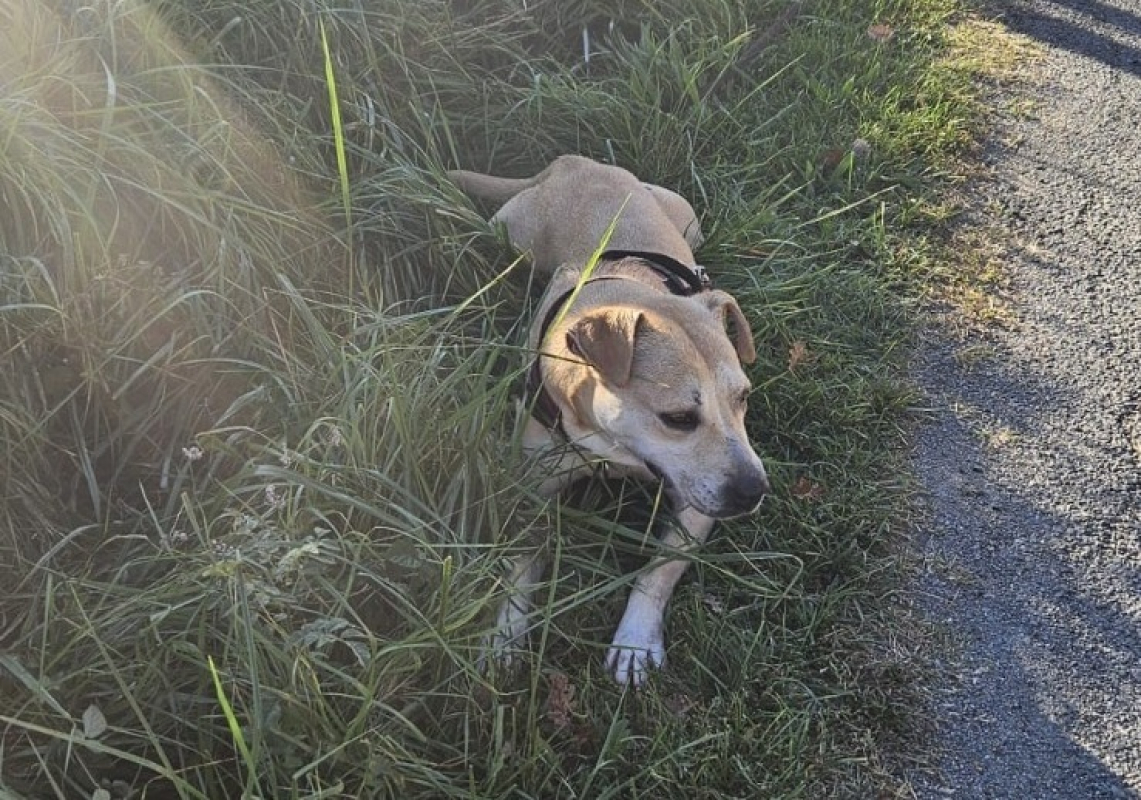 Photo #1 de Paulette