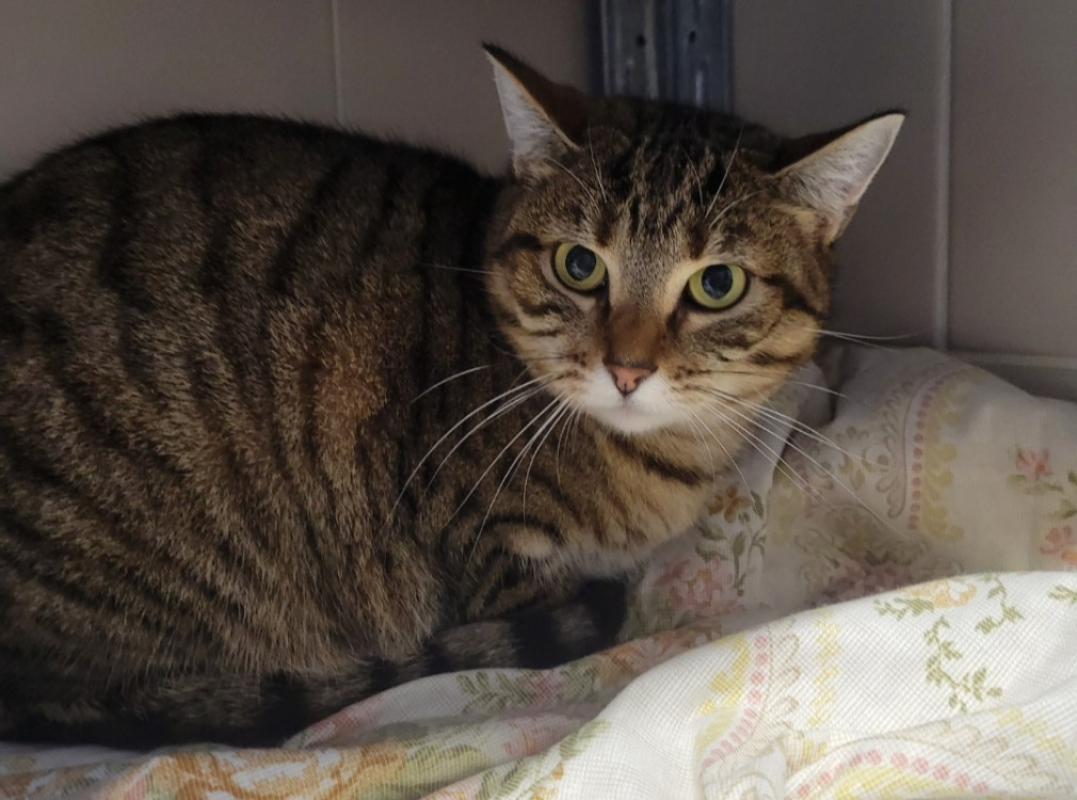 Photo #1 de Patricia