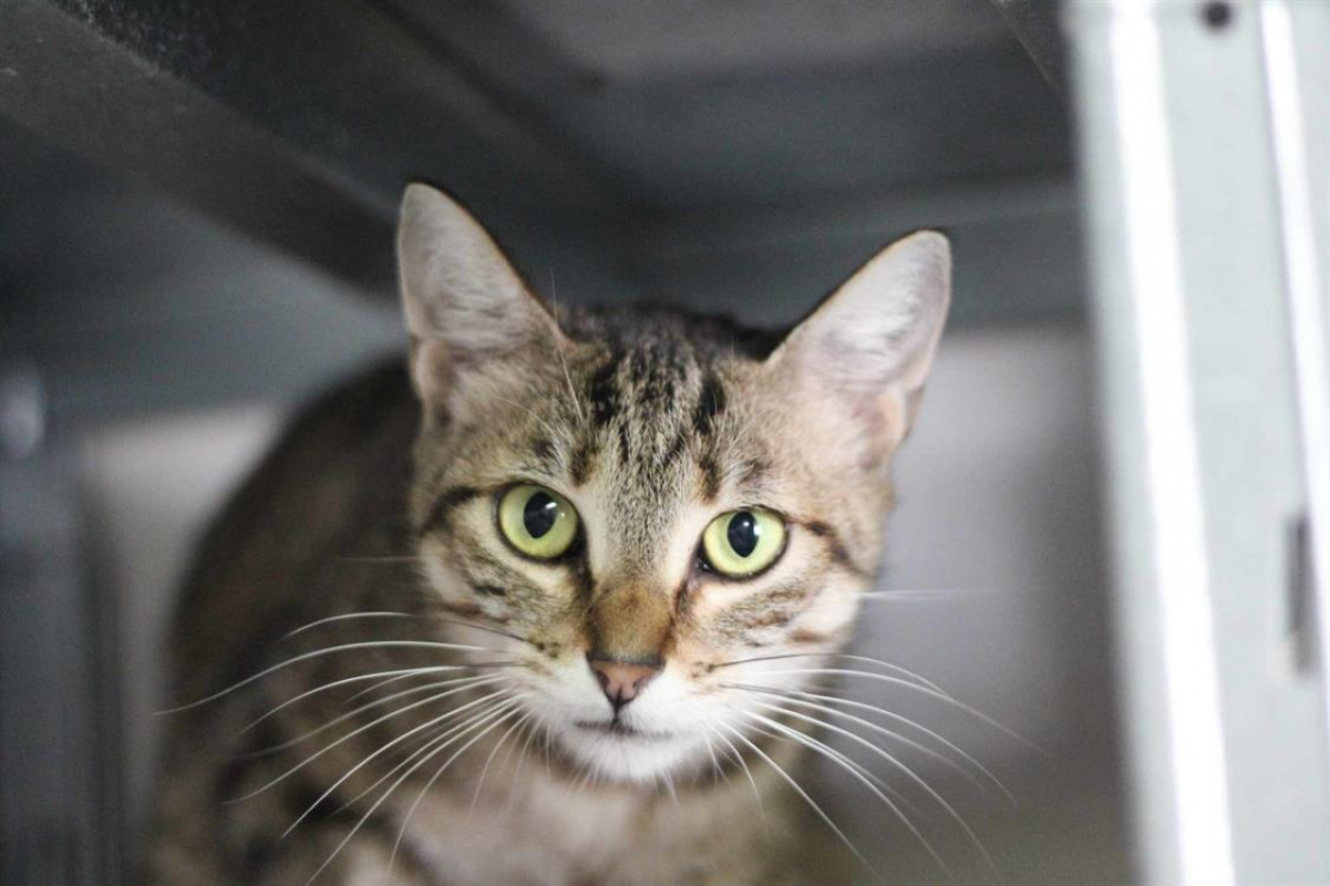 Photo #2 de Patricia