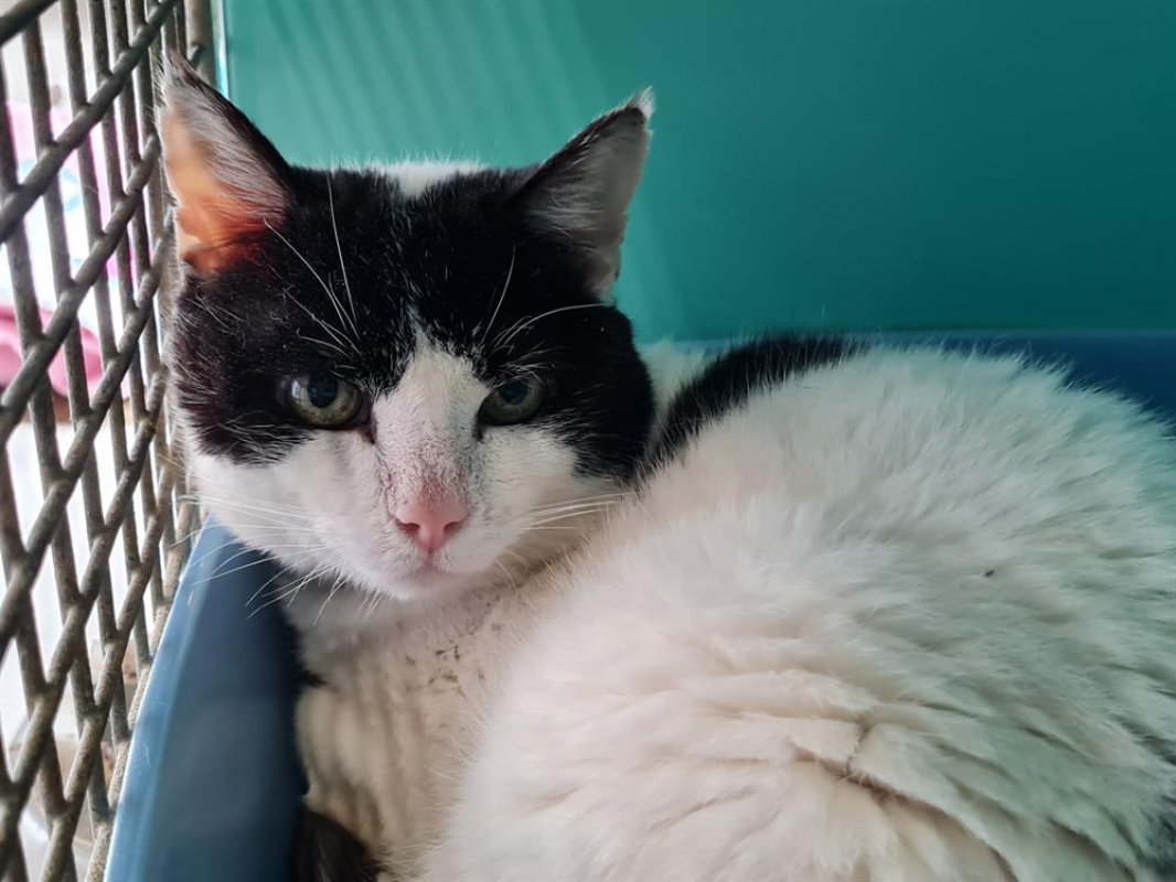 Photo #2 de Salto réservé